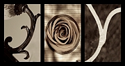 Wall_Art_Alphabet_Photography_Art_ 1131